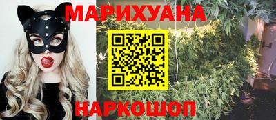тгк Обь