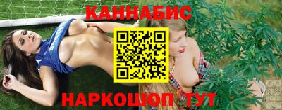 тгк Обь