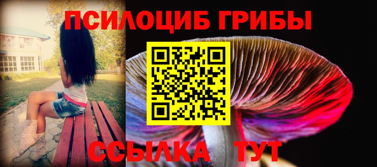 Псилоцибиновые грибы прущие грибы  Вход с VPN  Сафоново 